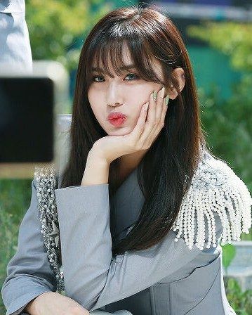 아샤 사진