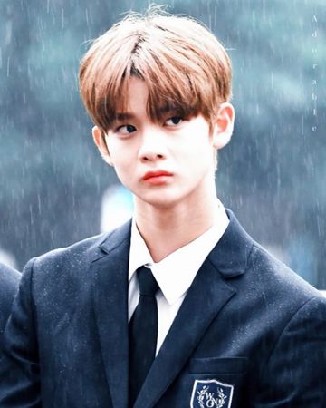 배진영 사진