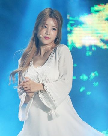 초롱 사진