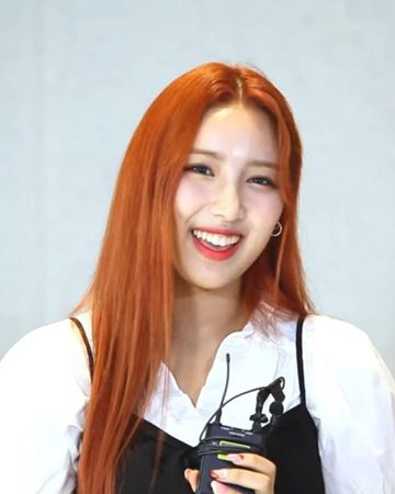초원 사진
