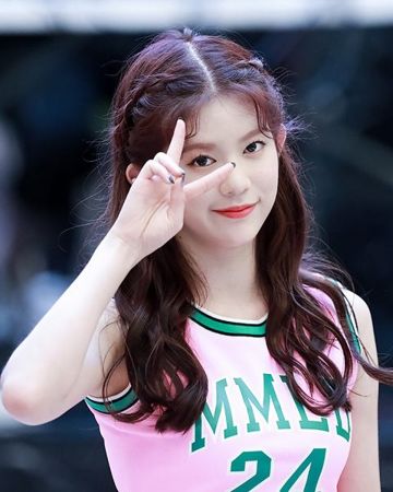 데이지 사진