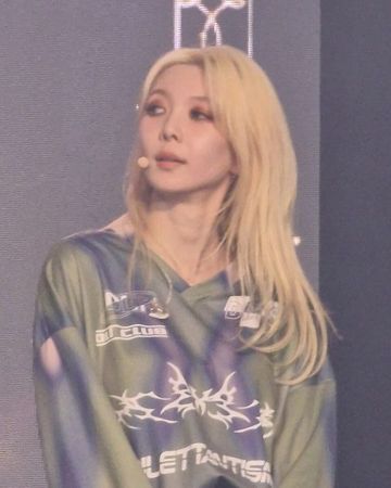 다미 사진