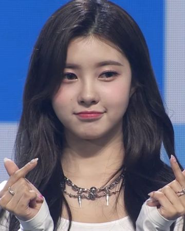 다연 사진