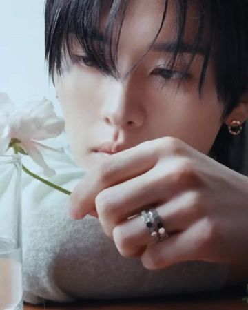 리노 사진