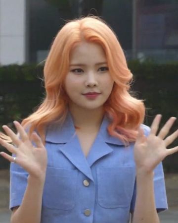 리나 사진