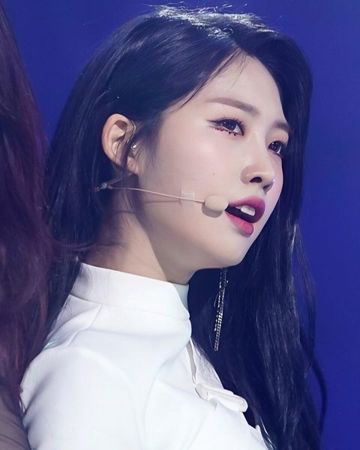 시현 사진