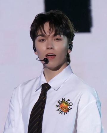 버논 사진